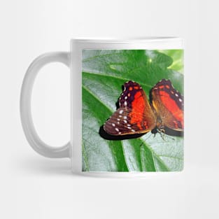 Red Butterfly Mug